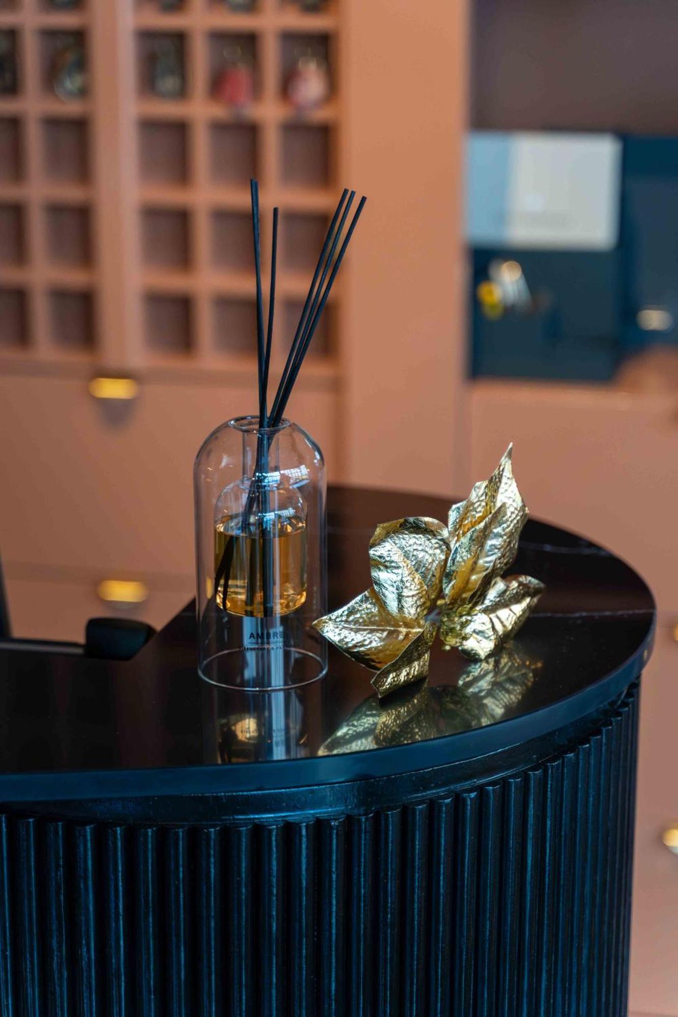 Hotel Et Restaurant Le Regina Le Puy-en-Velay Экстерьер фото